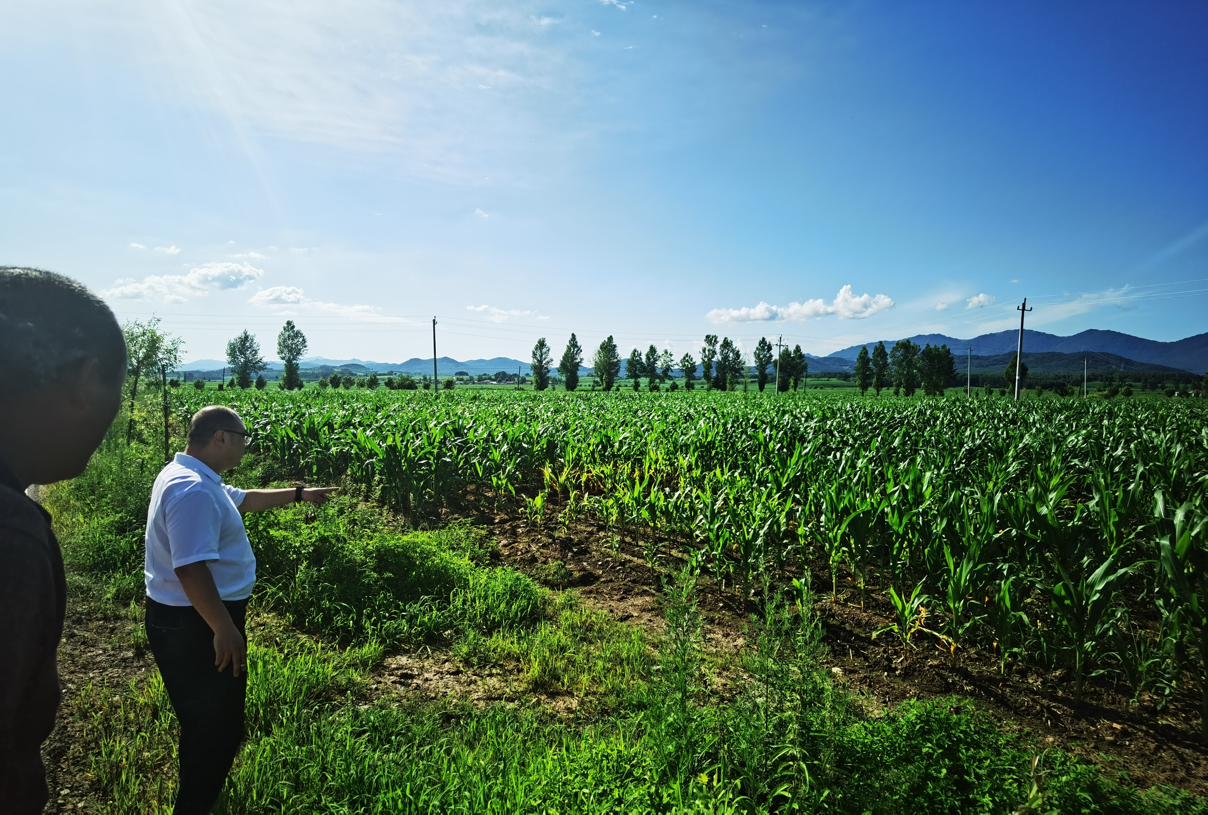 图片4.png 图片4.png