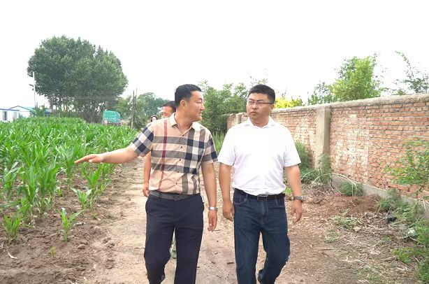 图片5.png 图片5.png