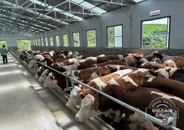 33e02d3d8a81c7ccdc9b675991e39e68.jpeg 33e02d3d8a81c7ccdc9b675991e39e68.jpeg