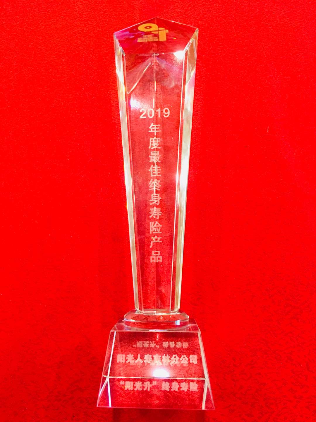 阳光2.jpg