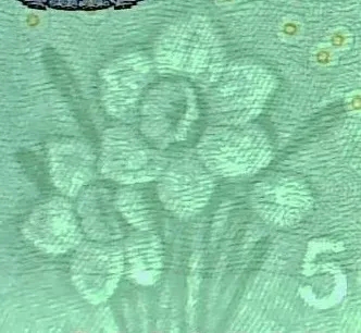 人民币6.png 人民币6.png